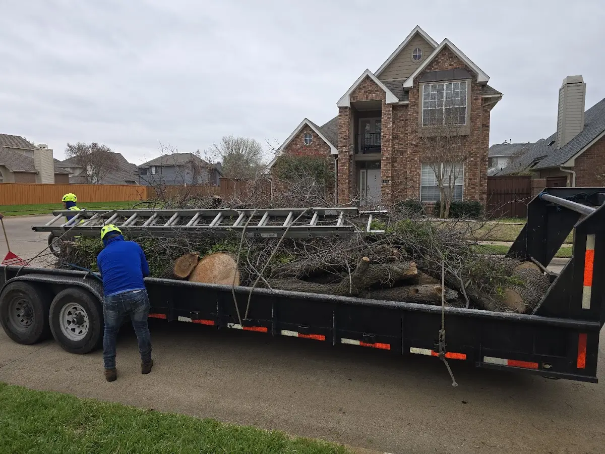 Expert Tree Fertilization with proper safety equipment in Worcester